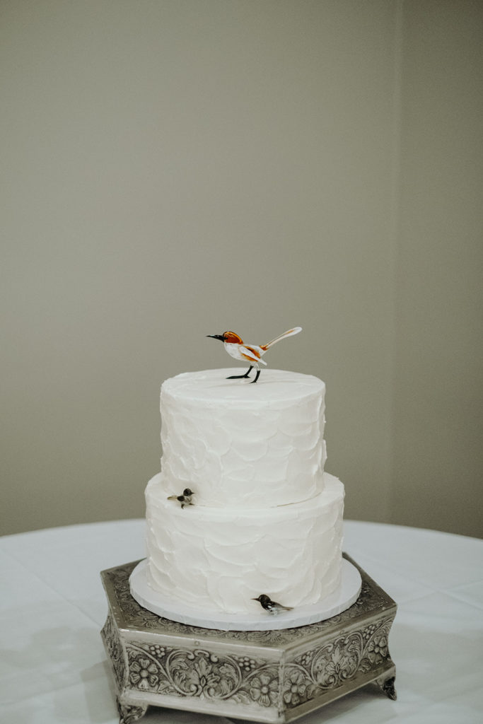 Wedding Cake with Bird details at Reception at Southwick's Zoo Mendon, MA