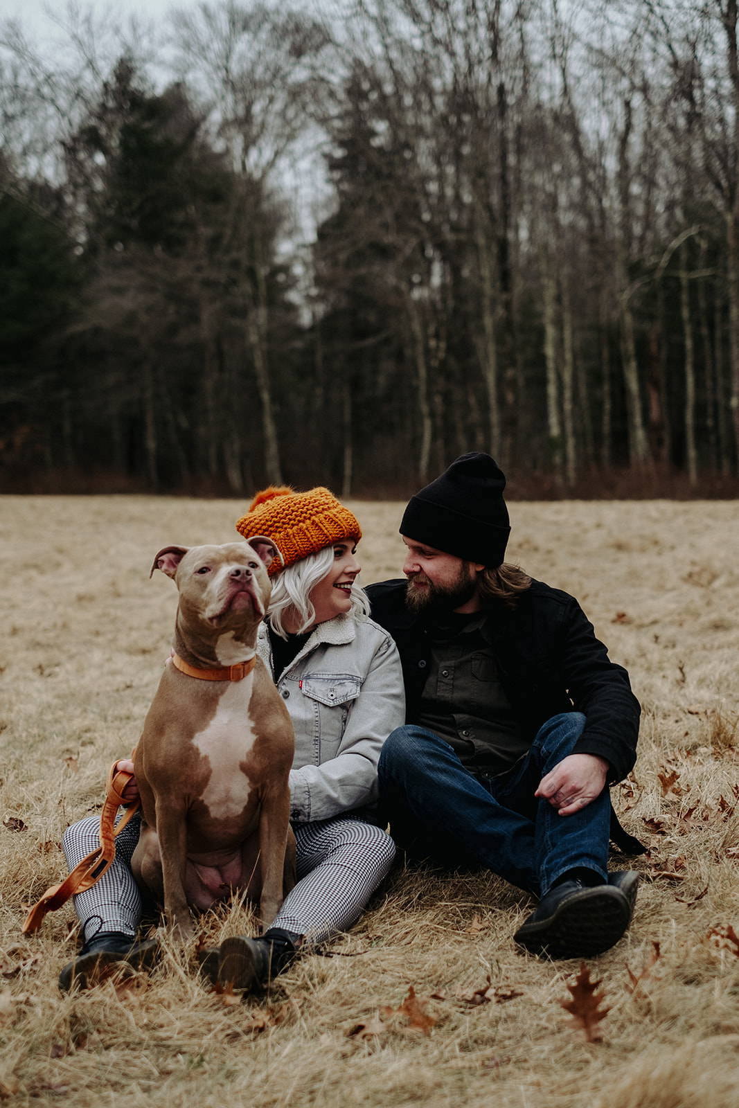 Couple with their Pit Bull pose for portrait during Borderland State Park Engagement Session | Boston Wedding Photographer