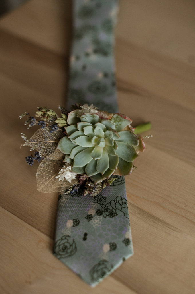 Flatlay of groom's boutonniere of succulents on succulent print tie for Boston Arnold Arboretum Elopement