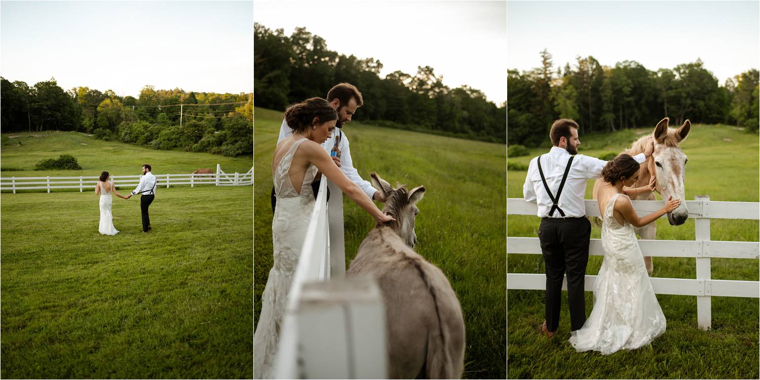 Bride and groom pose for portraits with donkey and horse at Peirce Farm