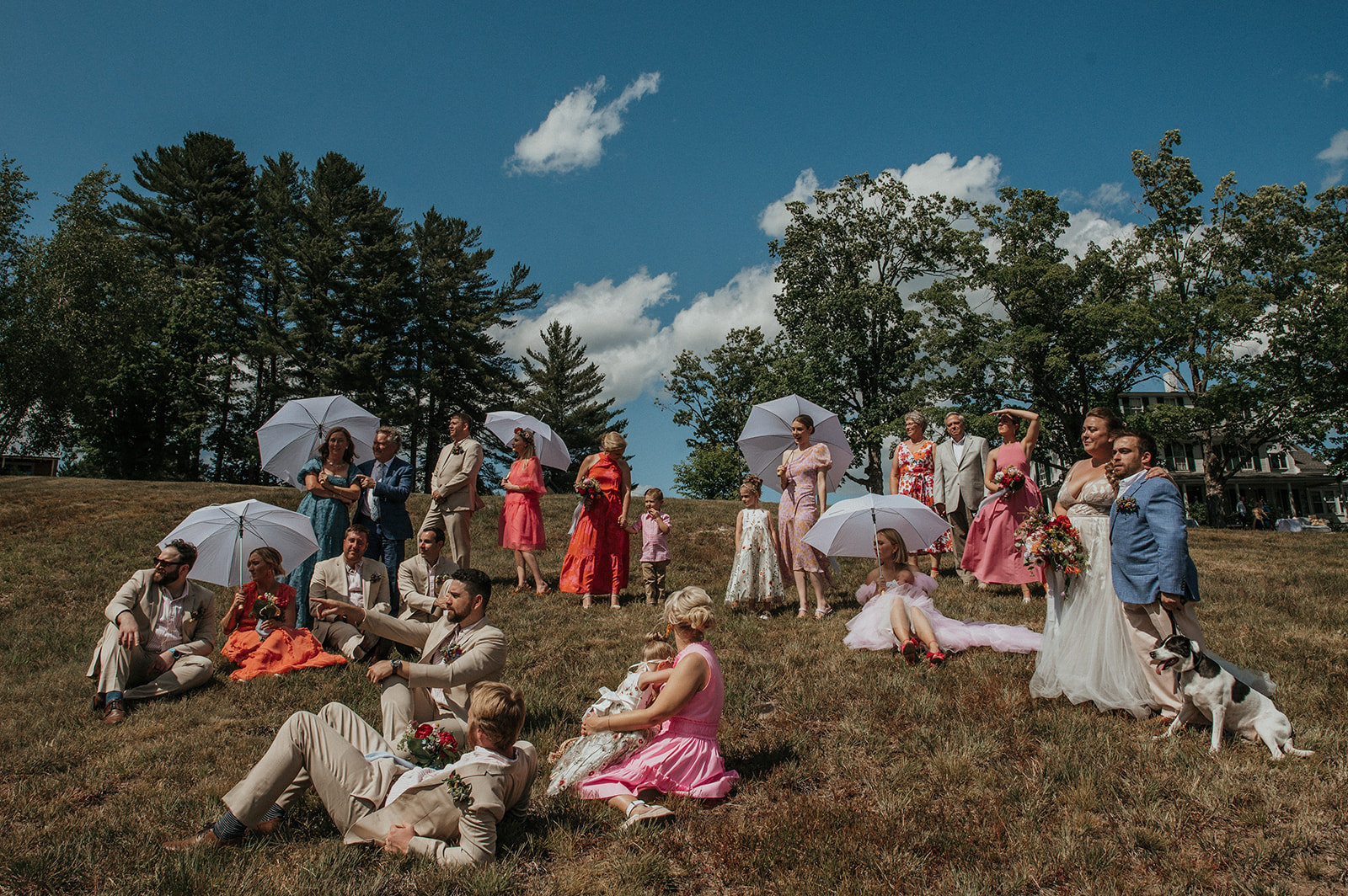 Wedding Party photo at the preserve at chocorua inspired by Seurat's A Sunday Afternoon on the Island of La Grande Jette